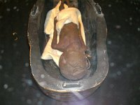 Tuananchamun-Ausstellung Reise in die Ewigkeit   2013-08-03-Tutanchamun (133) -->